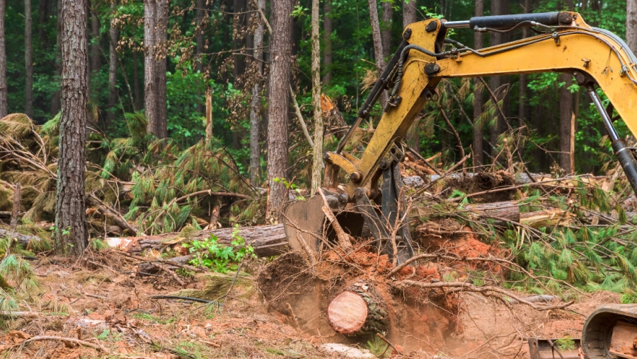 4 Land Clearing Services